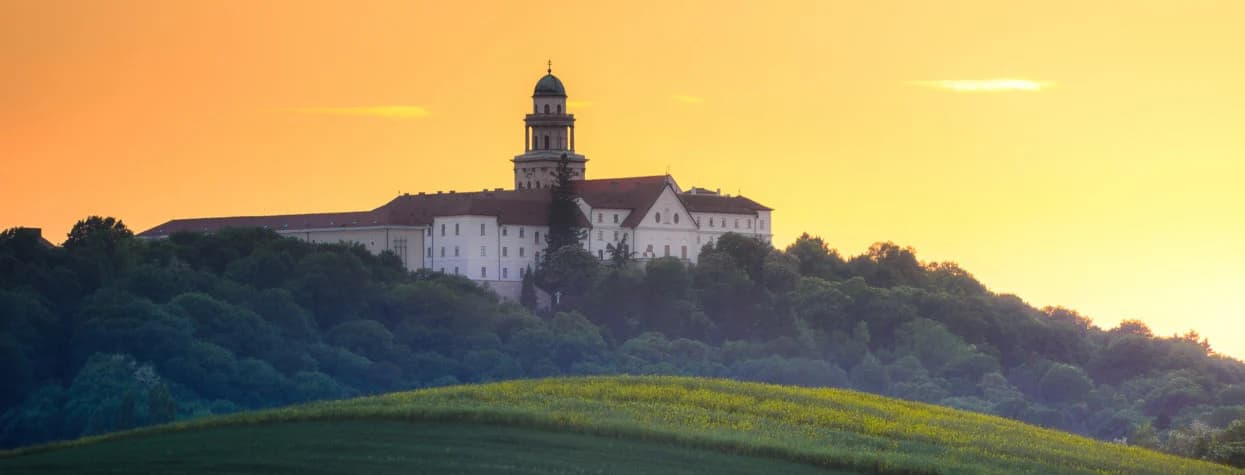 A Pannonhalmi Főapátság nyári alkonyi fényben: a zöld kupolás, keresztes torony és a hosszú, vörös tetős épületszárnyak fák között, előtérben egy lombos fa törzse és ágai, virágzó fehér bokrok, nyírt sövény és alacsony kőfal, a háttérben párás dombvonulat.