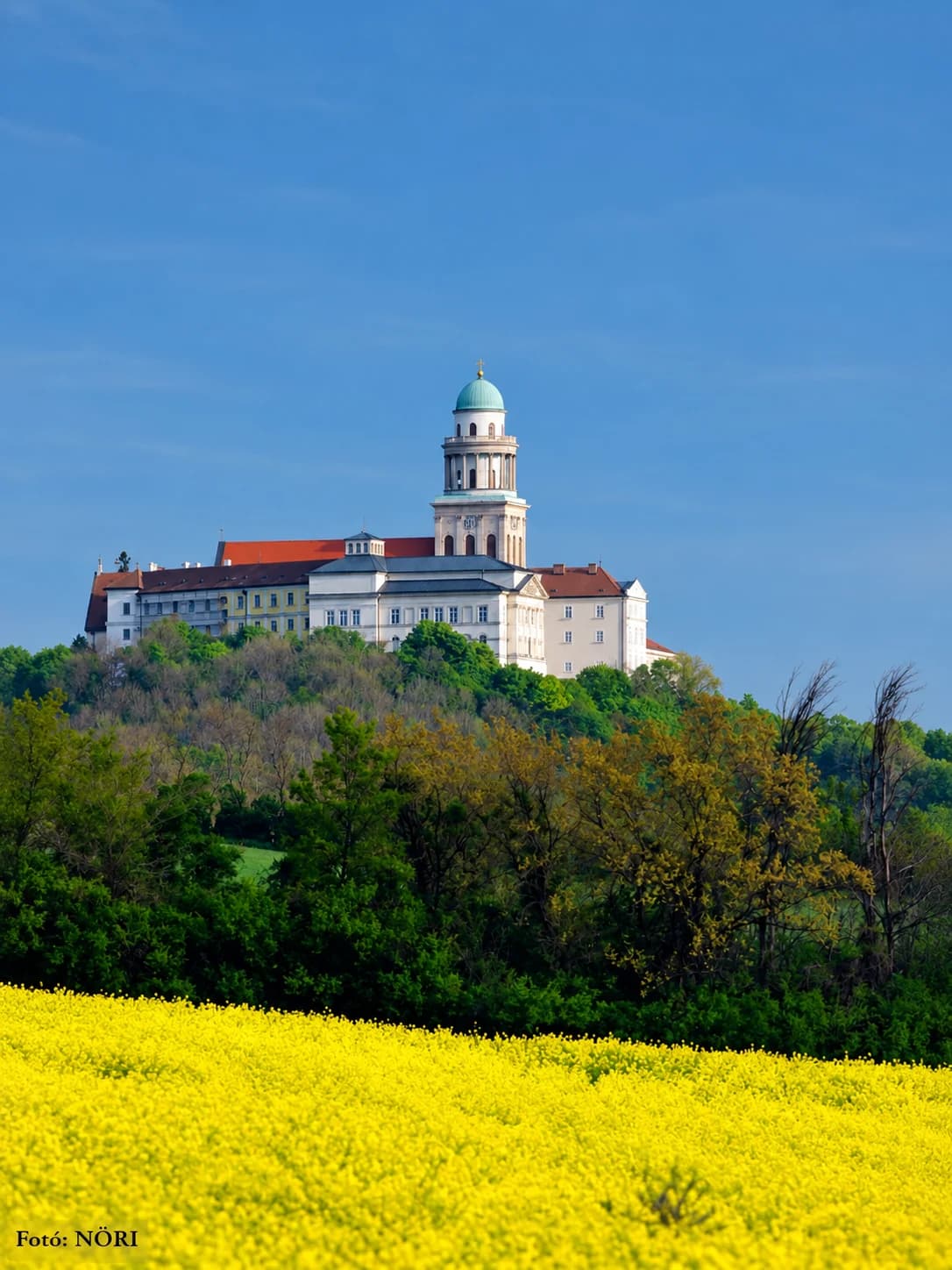 Napfényes, faragott oszlopfős kőárkád, a boltíven át dombos tájra, erdősávokra és egy templomtornyos, piros tetős falura nyíló kilátással; előtérben a kőkorláton futó zöld inda