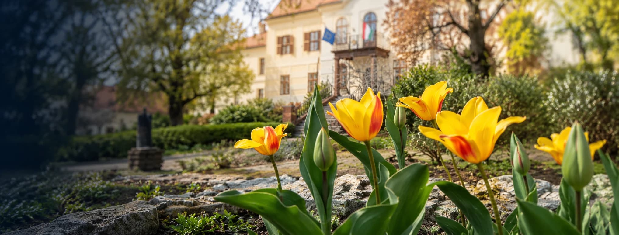 Balatoni panoráma egy erdős domboldalról: vitorlások a tavon, a túlparti dombok, előtérben fenyők és piros tetők, jobbra a balatonfüredi kéttornyú templom.